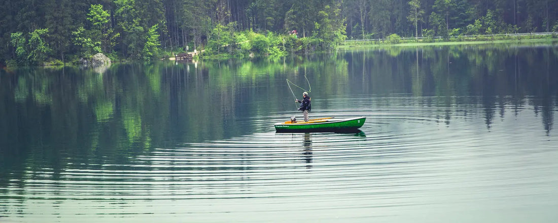 Try to Explain "Fly Fishing" to a Bear - PROOZY