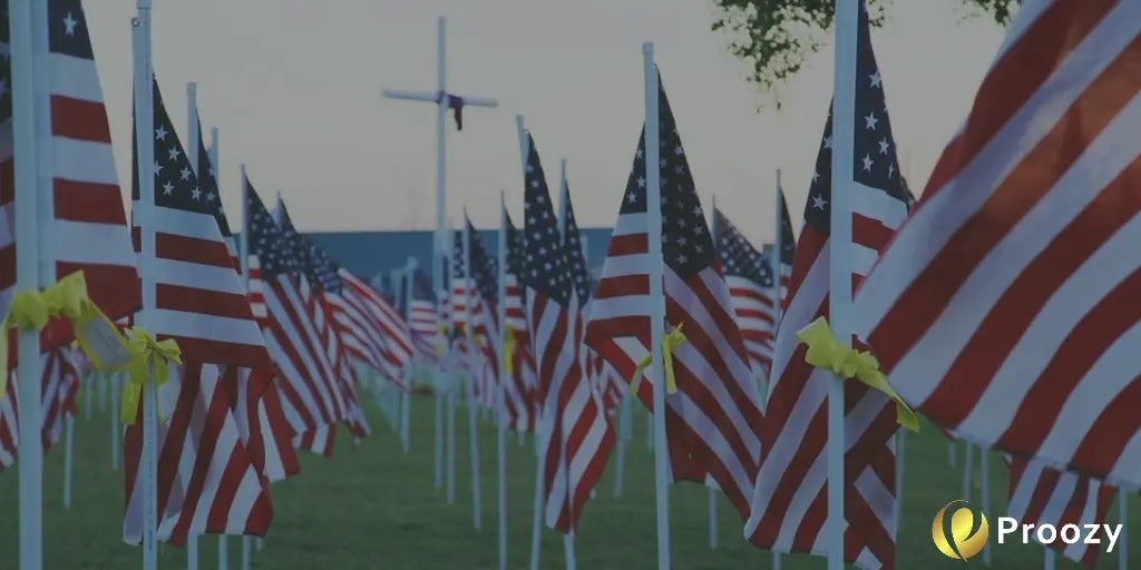 11 Ways to Show Your Appreciation on Veterans Day - PROOZY