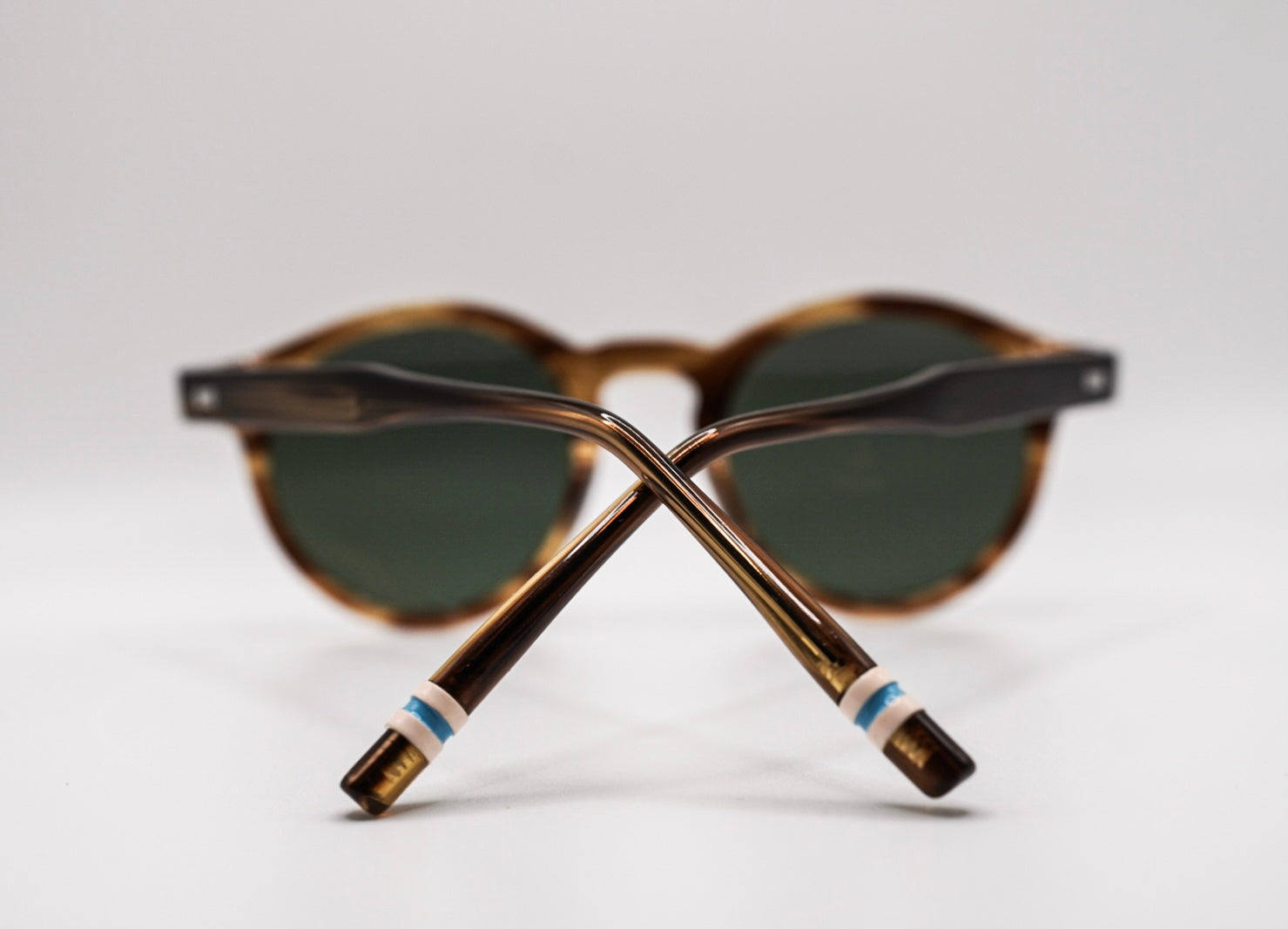 Tortoise / Green Polarized-