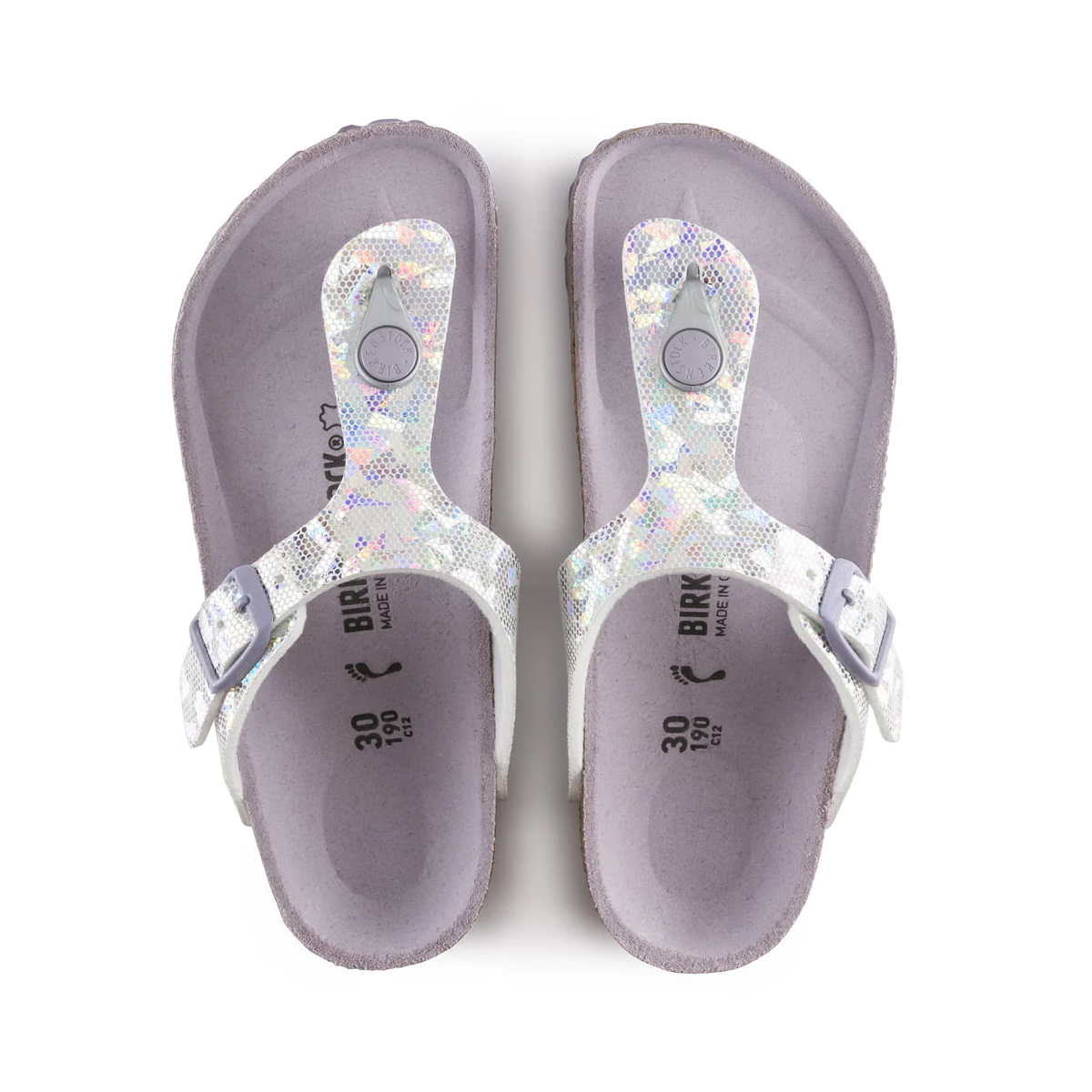 Hologram Silver / Lavender-