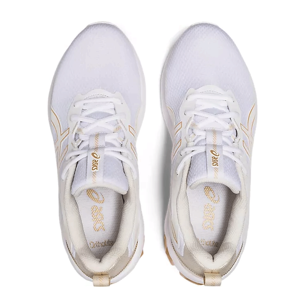 White / Champagne-