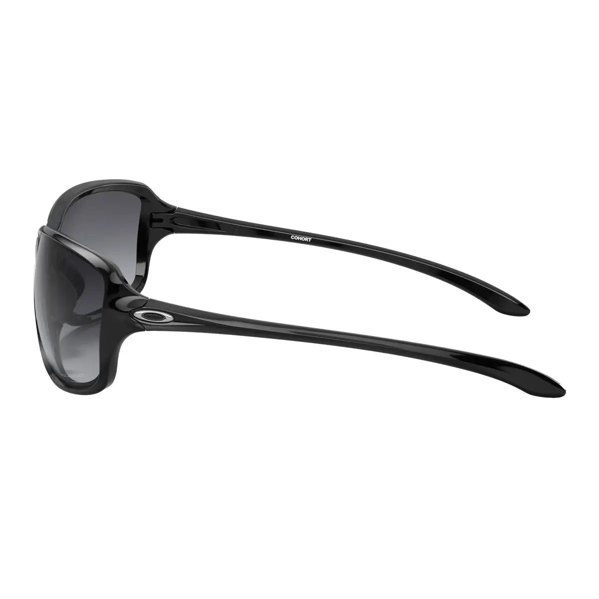 Polished Black w/ Grey Gradient Polarized-