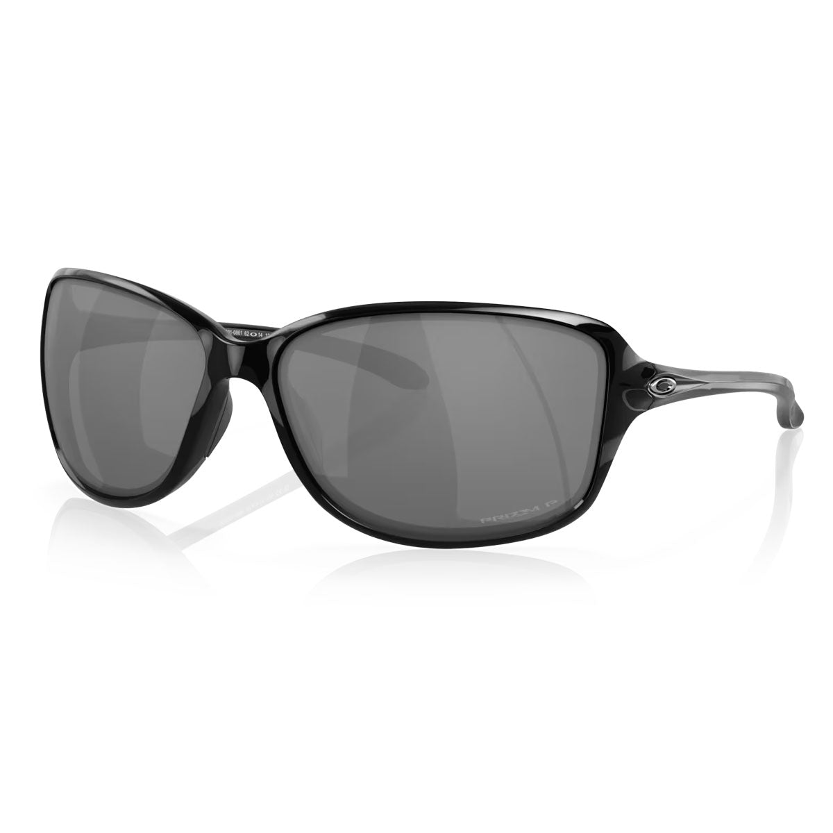 Polished Black / Prizm Black Polarized-