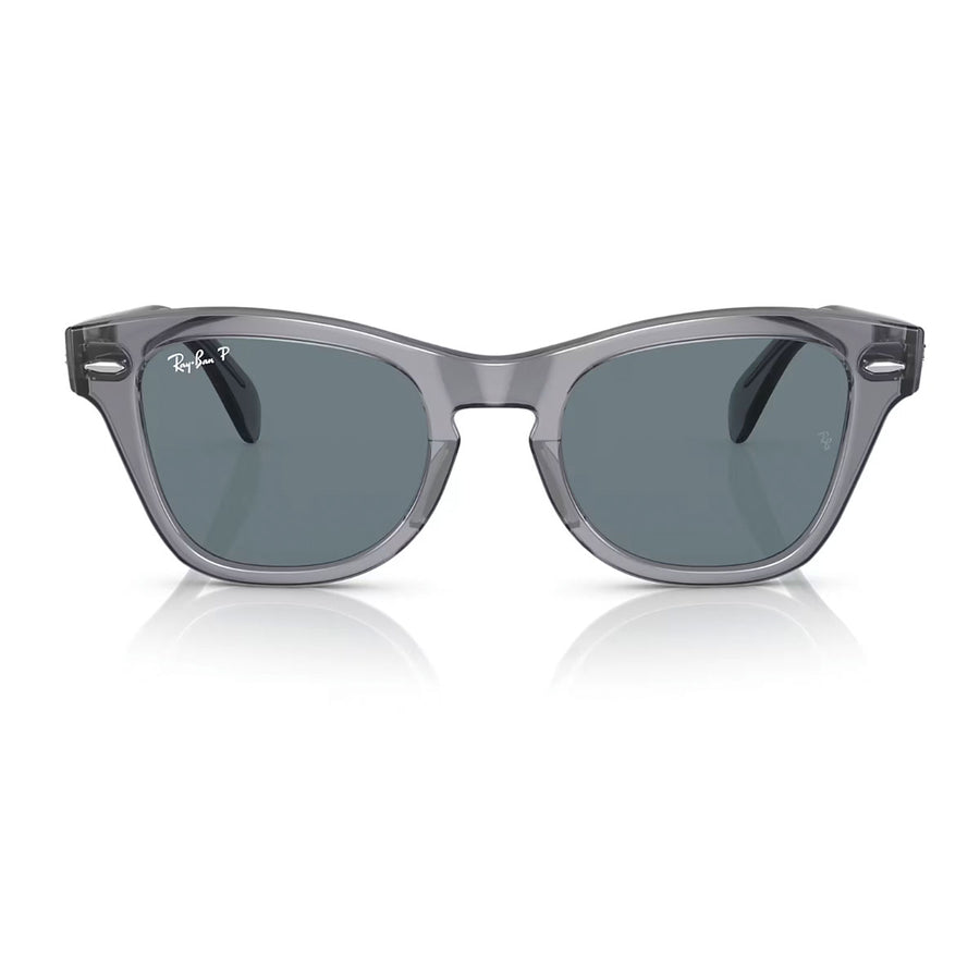 Transparent Grey / Dark Blue Polar-