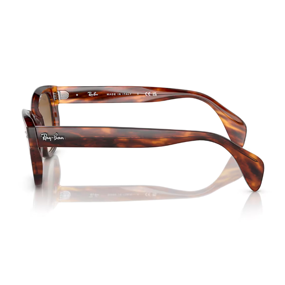 Striped Havana / Clear Gradient Brown-