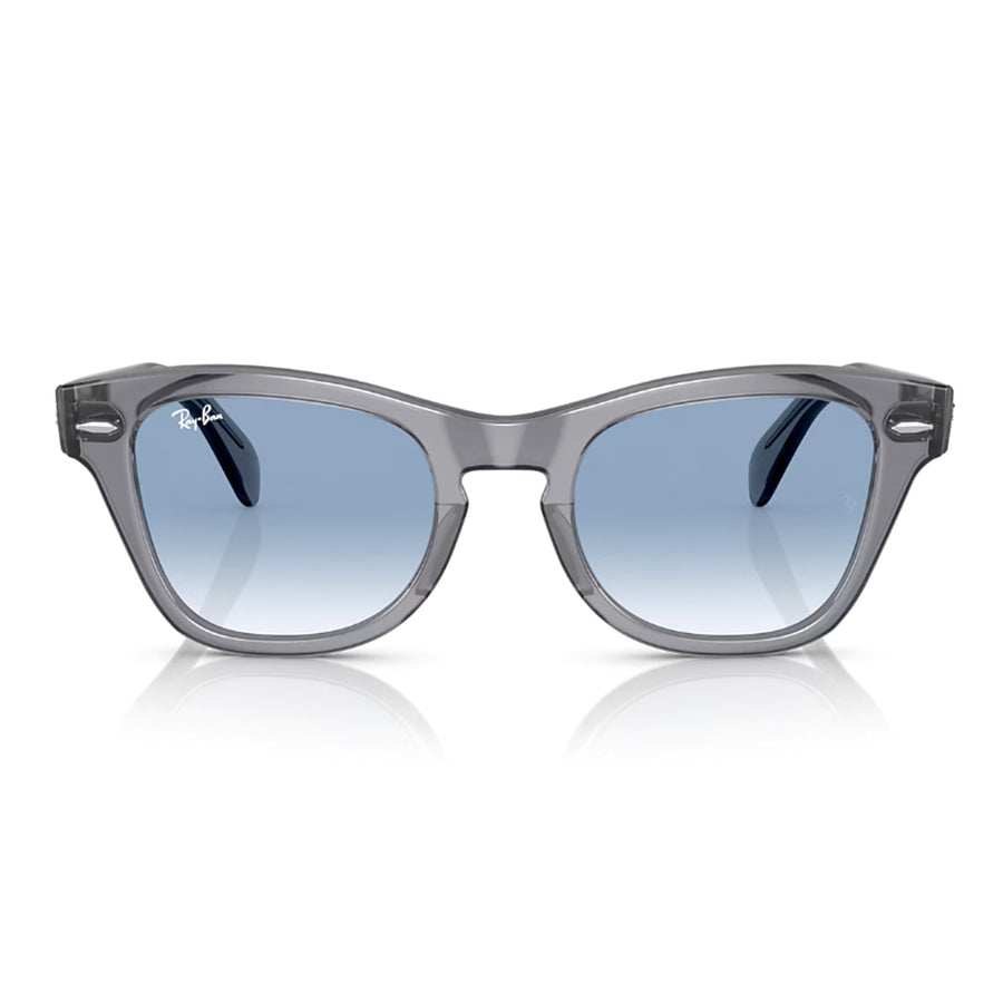 Transparent Grey / Dark Blue Polar-