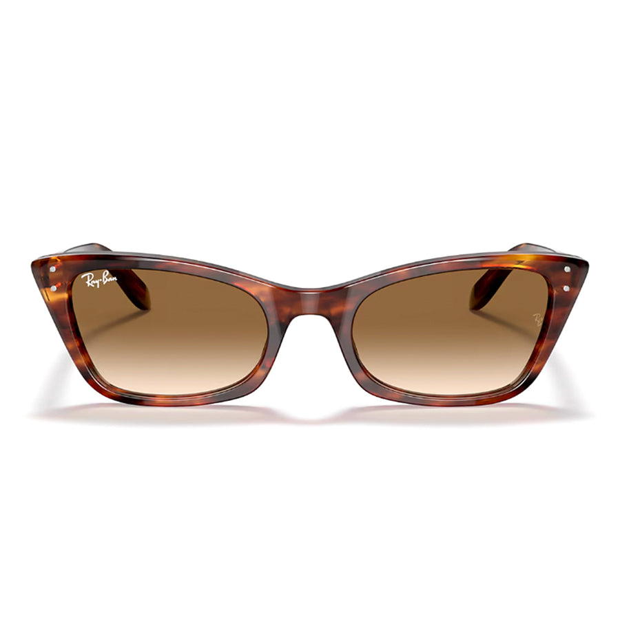 Striped Havana / Clear Gradient Brown-