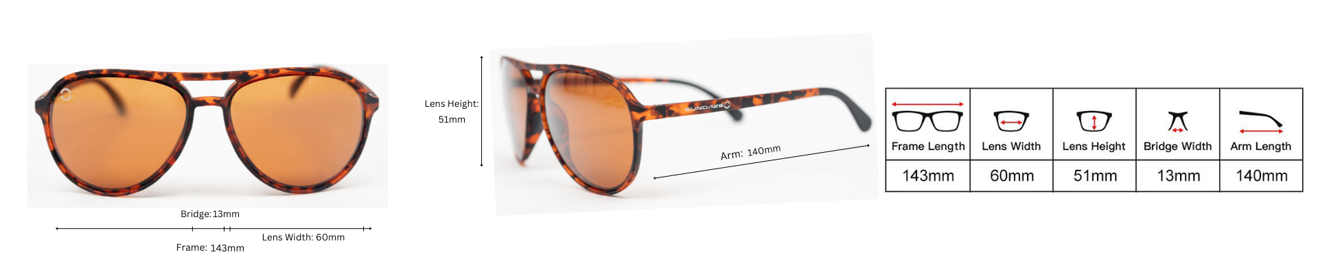 Tortoise Shell-