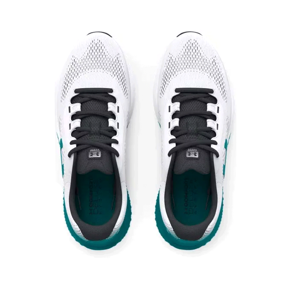 White / Teal-