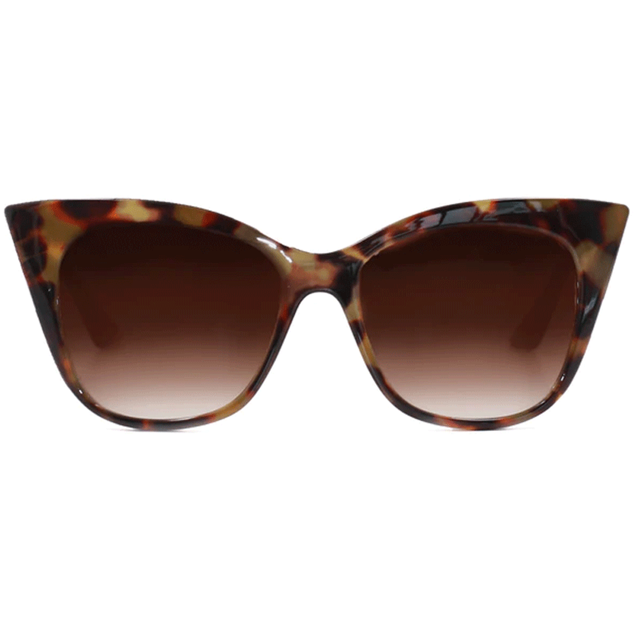 Tortoise Shell-