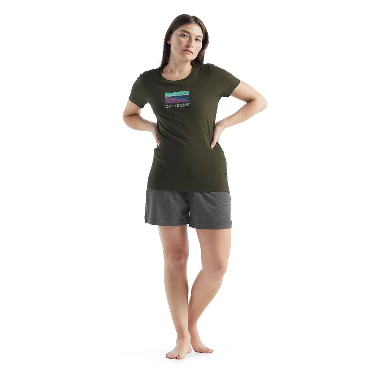 Icebreaker Women's Tech Lite II Short Sleeve Tee Trailhead – PROOZY